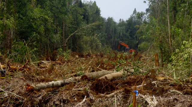 DPR Endus Konflik Lahan di Riau Ditunggangi Kepentingan Asing